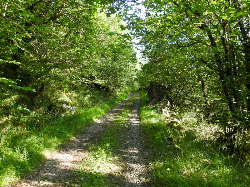 A very scenic track to cycle through