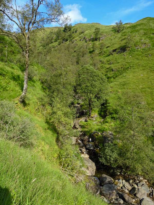 A very lush and green hike