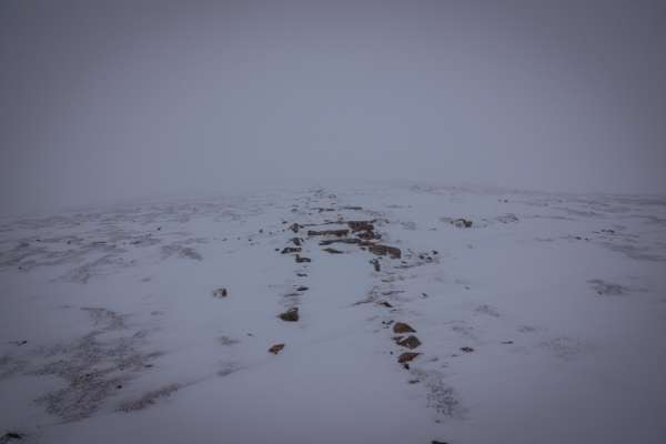 Path covered in snow