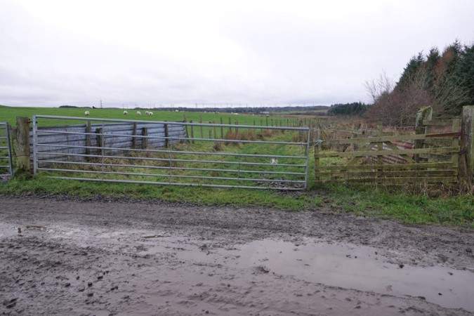 Gate that leads off the 'road' and down the boggy path.