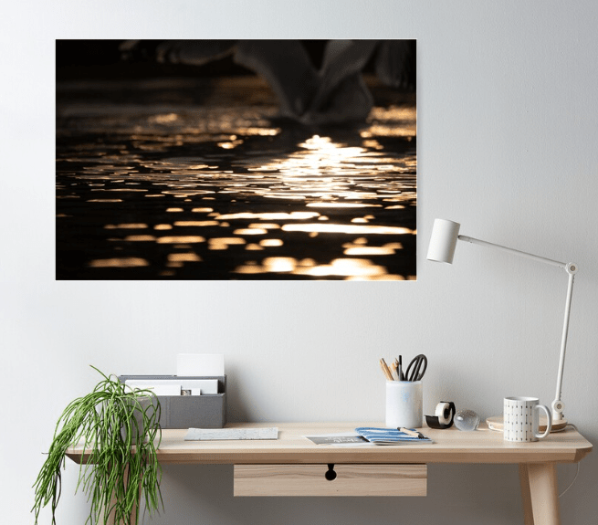 Golden hour ripples on a pond Poster