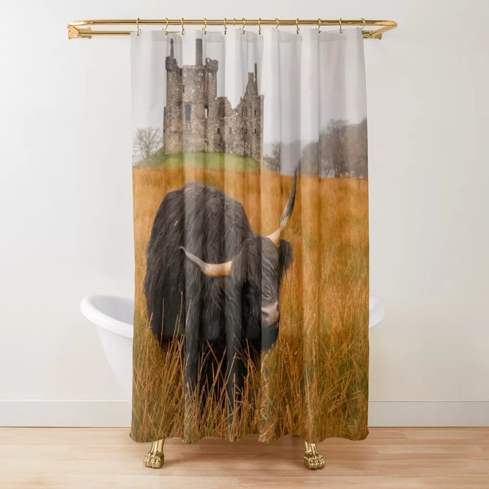Kilchurn Castle being guarded by a highland cow! Shower Curtain